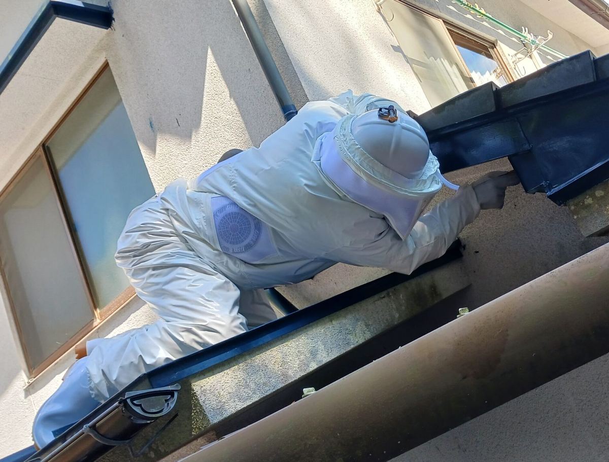 防護服の作業員が1階の屋根に上がり、軒下の巣の位置を確かめている様子