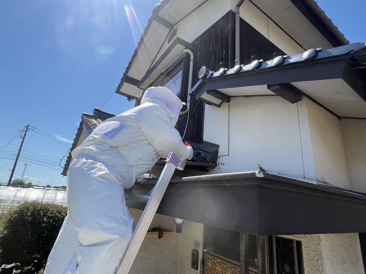 防護服の作業員がはしごに上り、2階の窓下にできた巣を駆除している様子